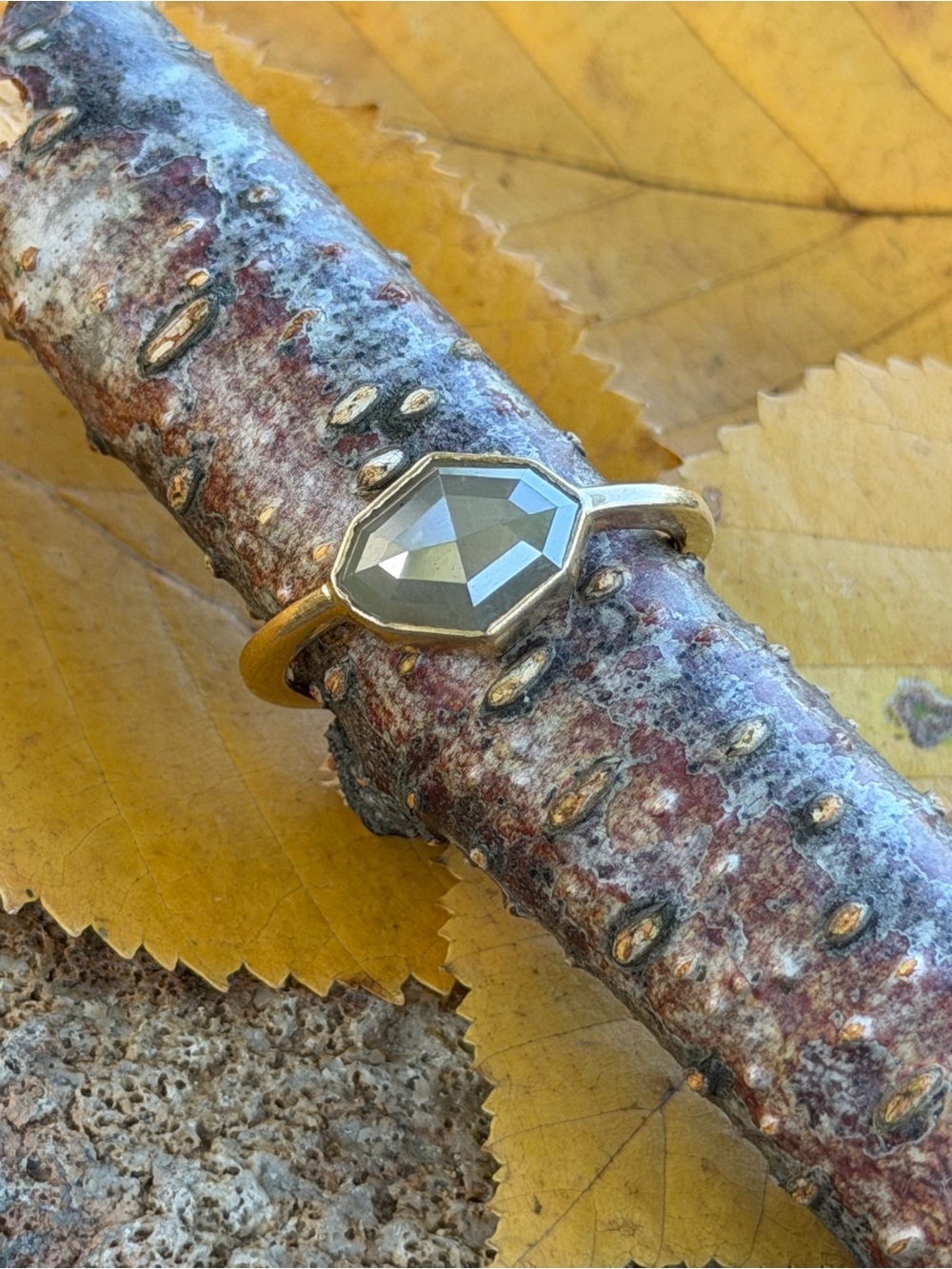 Natural Grey Rustic salt & pepper galaxy diamond Bezel Yellow Gold 14k ring